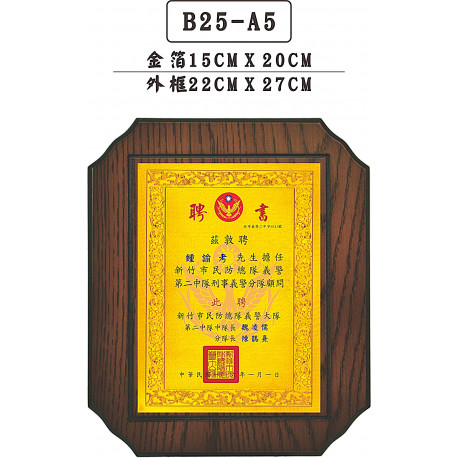 B25-A5