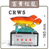 水琉璃CRW5富貴紅龍