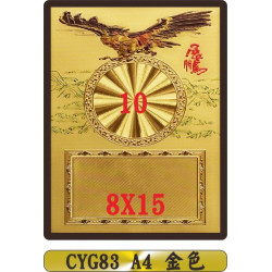 金質獎狀CYG83 A4 鷹